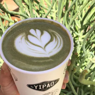 Matcha Latte