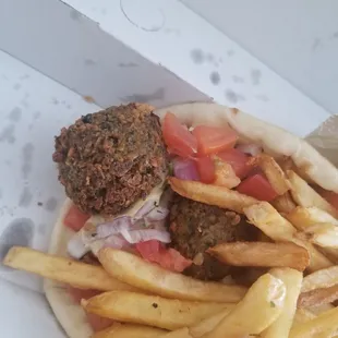 Details(Falafel with fries)