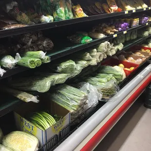 Conviently around the university, small little shop but has a good amount of stuff inside