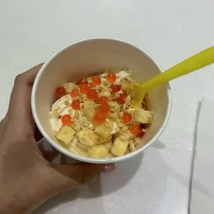 Raspberry Vanilla froyo