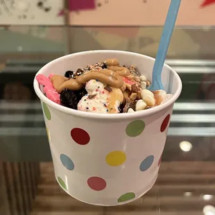 Frozen Yogurt
