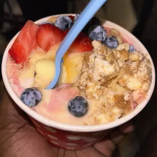 Pineapple Dole Whip, Cherry Dole Whip, Blueberries, Strawberries, Cheesecake bites