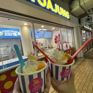 Yogurt Ice Cream Signature (good)