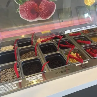 Chocolate and fruit toppings