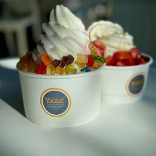 Large Yogurt with Toppings
