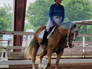 E H Equestrians