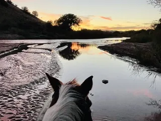 Acacia Riding Adventures