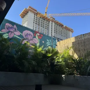 Old Kaka'ako and condo Kaka'ako at YUP.