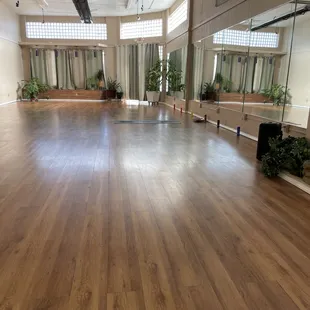 Great, light and spacious studio