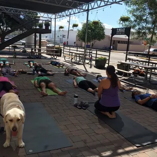 Even dogs are welcome at some locations!