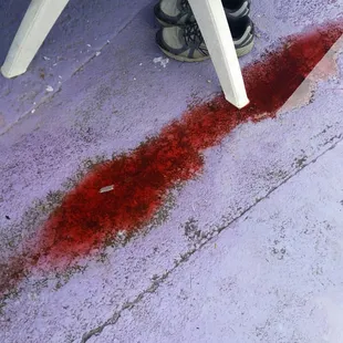 There blood everywhere