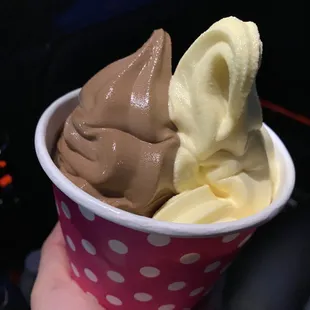 Half Ghirardelli Chocolate Half Cake Batter Frozen Yogurt