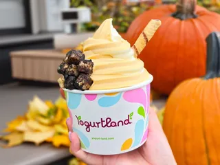 Yogurtland San Diego