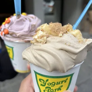 Cappuccino flavor with cheesecake topping (front); forgot back flavor