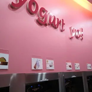 Yogurt bar, choose your own flavor &amp; toppings