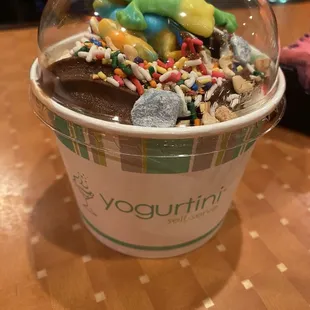 My frozen yogurt for the night.