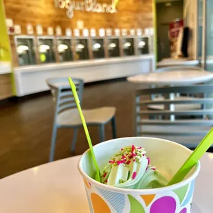 Yummy Yogurtland