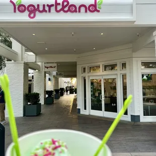 Yogurtland Lucky Irish Mint