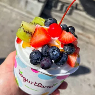 Custom Froyo Creation - Plain Tart with Fruit