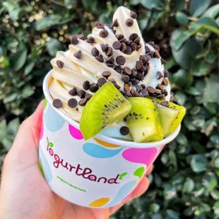 Custom Froyo Creation - Fruit and Chocolate Chips