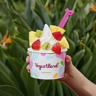 Yogurtland - Chapman Ave