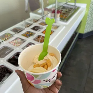 Creamy Vanilla Ice Cream