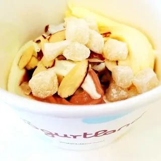 Creamy Vanilla Ice Cream