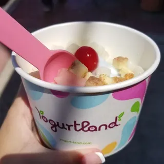 Rocket Pop Sorbet