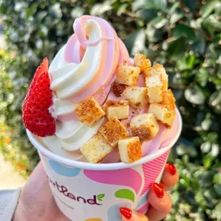 Custom Frozen Yogurt Creation - Fresh Strawberry and Cheesecake