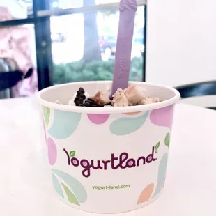 Regular Cup