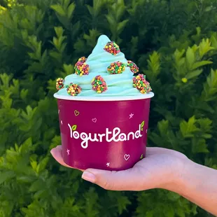Yogurtland - Kensington Park Dr