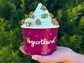 Yogurtland - Kensington Park Dr