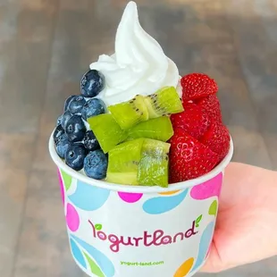 Custom Frozen Yogurt Creation - Plain Tart with Fruit