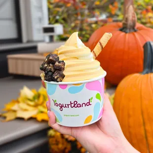 Yogurtland San Diego