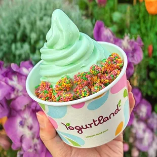 Seasonal favorite Lucky Irish Mint frozen yogurt is back for a limited time!