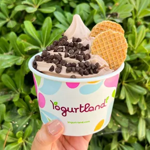 New, Limited-Time Brown Butter Chocolate Chip Cookie Frozen Yogurt! Warm brown butter notes meet the sweetness of chocolate chips.