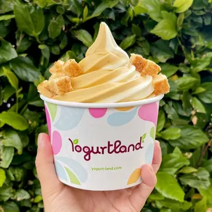 Create our fall favorite Pumpkin Pie Cheesecake Swirl using the middle handle! Limited time only while supplies last.