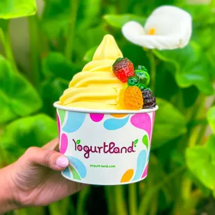 Escape to a tropical paradise with our new limited-time Pineapple Mango Sorbet!