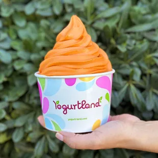 New limited-time Thai Tea frozen yogurt! Bold black tea flavor and sweet cream notes. While supplies last.