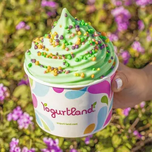 Lucky Irish Mint frozen yogurt sprinkled with limited time Rainbow Nerds® candy toppings.