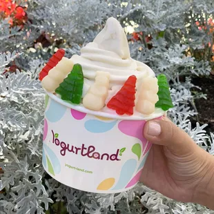 Get in the holiday spirit with Yogurtland’s new Snickerdoodle frozen yogurt! It’s a classic and delicious flavor made with real cinnamon.