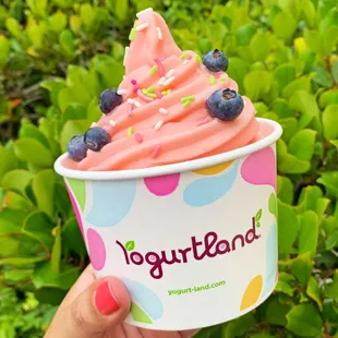 Limited-time Watermelon Sorbet made with SOUR PATCH KIDS® Candy flavor! SOUR PATCH KIDS IS A TRADEMARK OF MONDELĒZ INTL. GROUP.