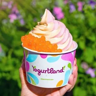 Custom Frozen Yogurt Creation - Strawberry Cheesecake Swirl with Mango Popping Boba