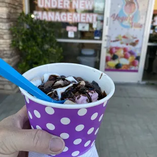 Frozen Chocolate and Raspberry
