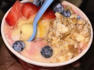 Yo-Yo Yogurt