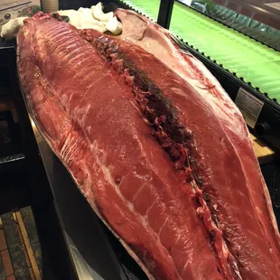 Blue fin tuna