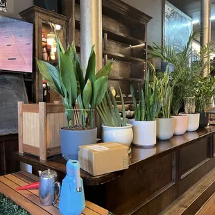 8/30/24 Bar, well bar when it was American Oak.