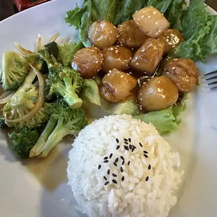 Scallops