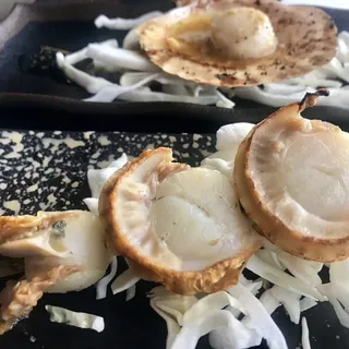 Japanese Scallop