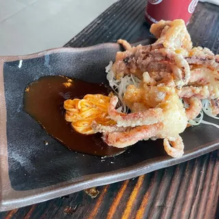 Ikageso Karaage